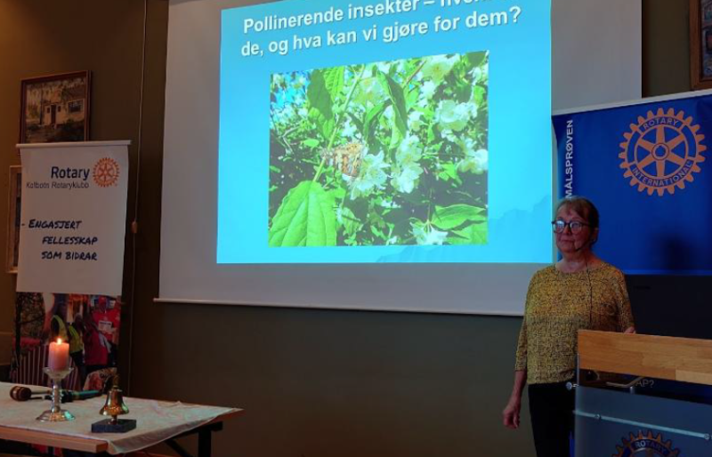 Pollinerende Insekter v/ Sigrid-Ann Mortensen, Nordstrand Hagelag